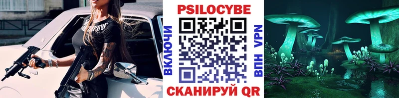 купить закладку  Подольск  Псилоцибиновые грибы Psilocybine cubensis 
